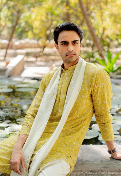 Royal Mustard Tussor Silk Kurta Set with Stole (MIROR WORK)