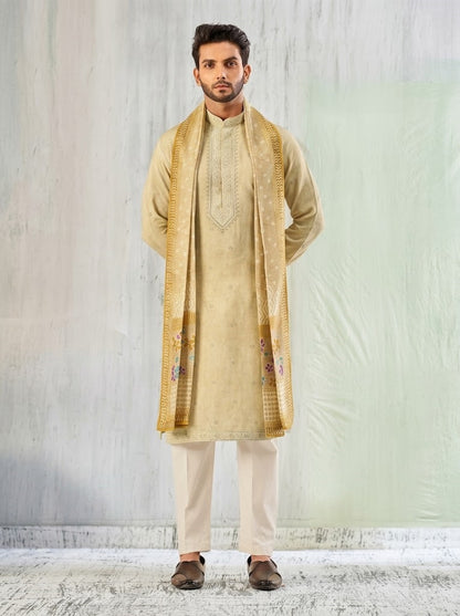 The Royal Olive Kurta with Patola-Inspired Stole